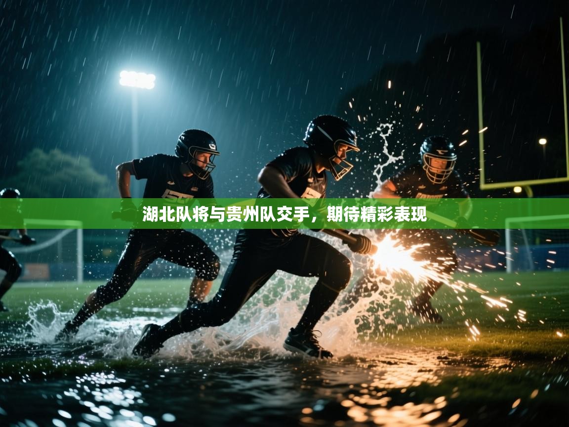 湖北队将与贵州队交手，期待精彩表现