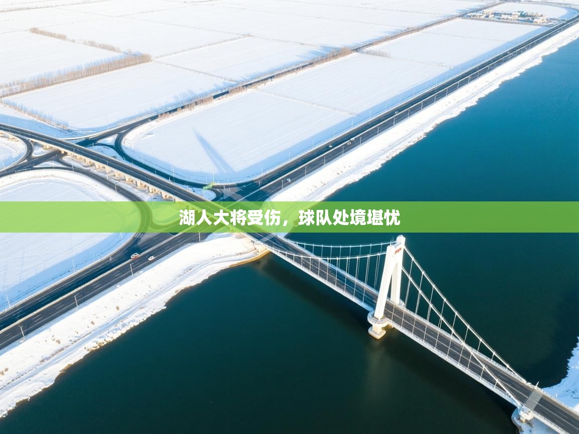 湖人大将受伤，球队处境堪忧  第2张