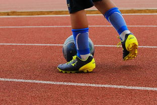 半岛体育app官网-恩菲尔德核心球员体能管理，世俱杯冲刺关键因素